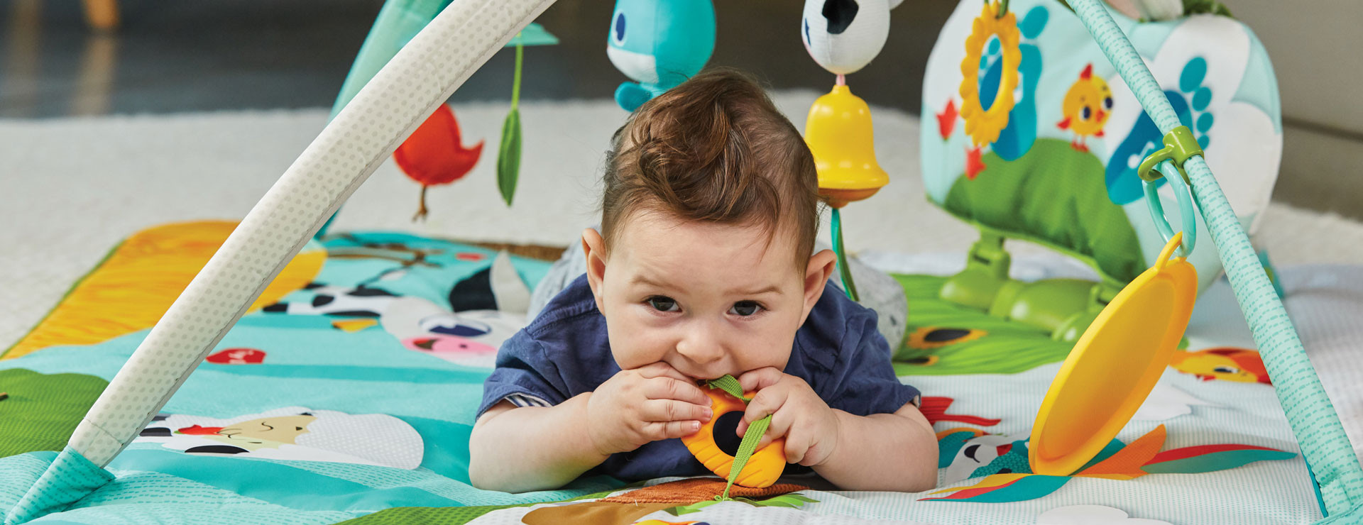 Carrot shape teether and other attached toys stimulate the senses 