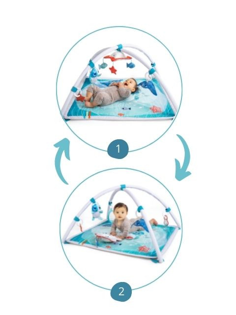 2-in-1 enchanting starfish mobile with advanced features that converts into an engaging tummy time tapping toy