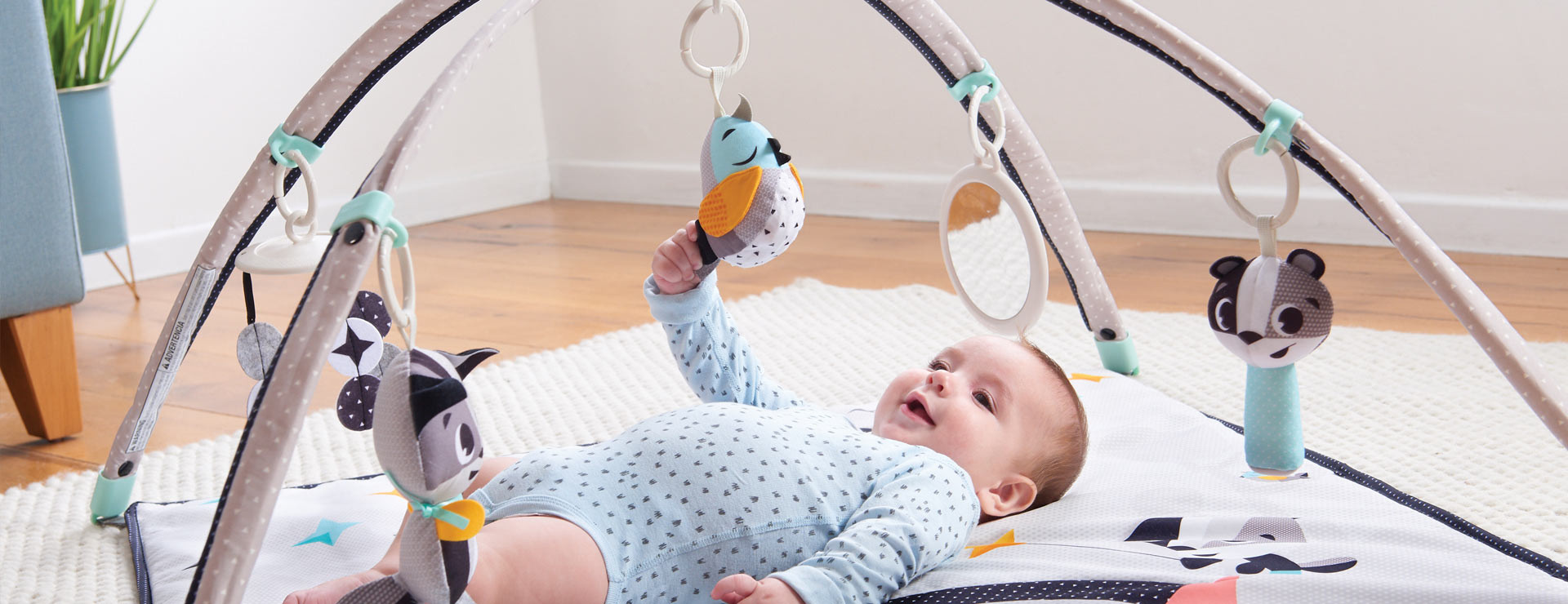 Stimulating and interactive toys entertain baby and support healthy development 